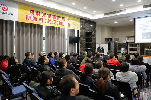 新材料技術(shù)推廣服務(wù) 開(kāi)啟創(chuàng)新賦能新篇章